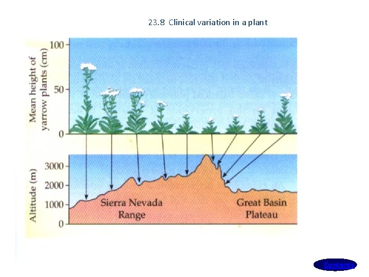 23. 8 Clinical variation in a plant Contents 