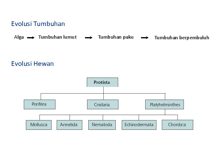 Evolusi Tumbuhan Alga Tumbuhan lumut Evolusi Hewan Tumbuhan paku Tumbuhan berpembuluh 