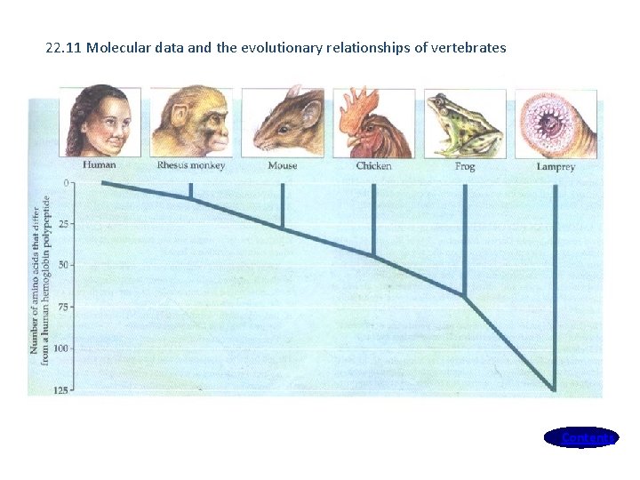 22. 11 Molecular data and the evolutionary relationships of vertebrates Contents 