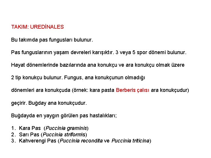 TAKIM: UREDİNALES Bu takımda pas fungusları bulunur. Pas funguslarının yaşam devreleri karışıktır. 3 veya