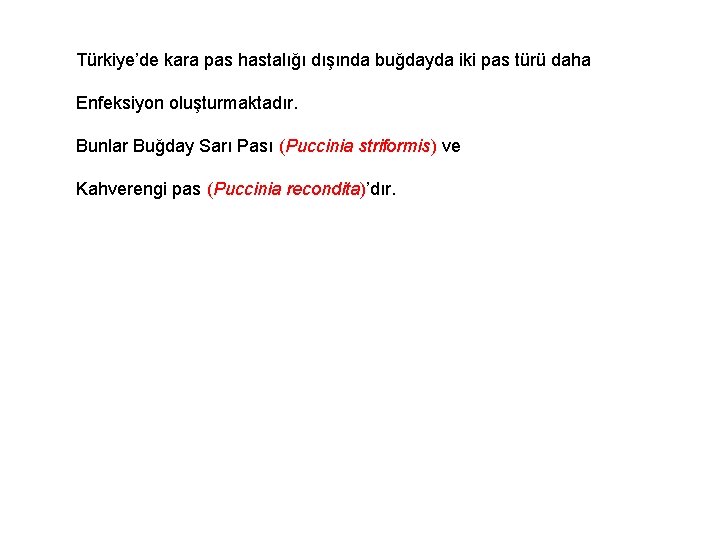 Türkiye’de kara pas hastalığı dışında buğdayda iki pas türü daha Enfeksiyon oluşturmaktadır. Bunlar Buğday