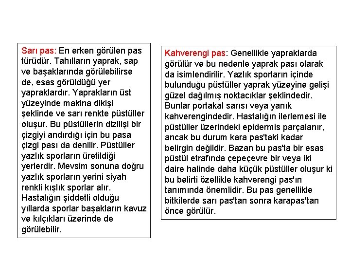 Sarı pas: En erken görülen pas türüdür. Tahılların yaprak, sap ve başaklarında görülebilirse de,