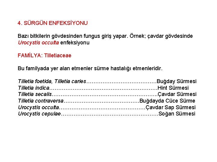 4. SÜRGÜN ENFEKSİYONU Bazı bitkilerin gövdesinden fungus giriş yapar. Örnek; çavdar gövdesinde Urocystis occulta