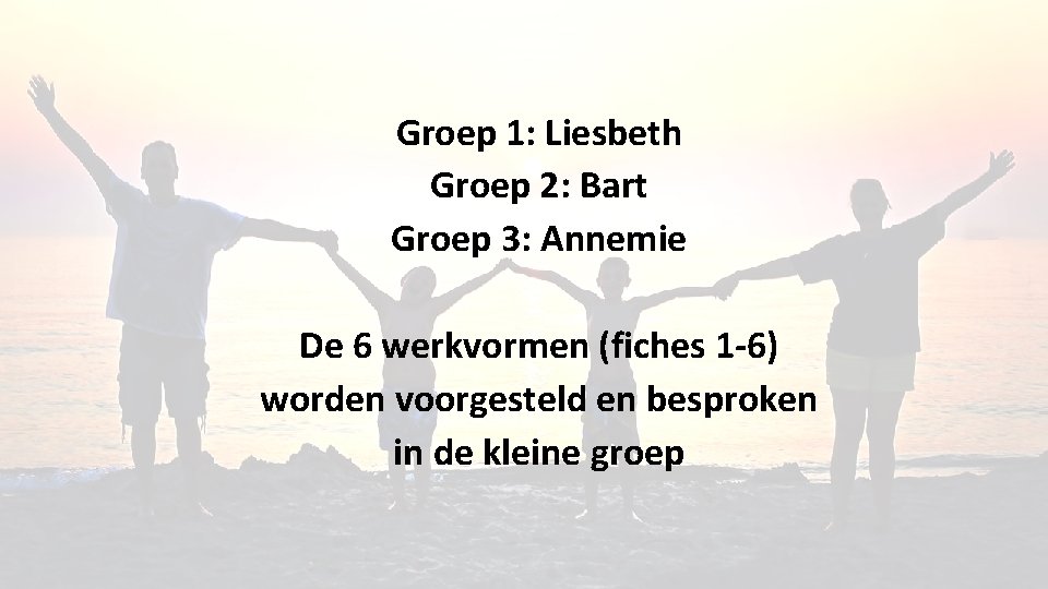 Groep 1: Liesbeth Groep 2: Bart Groep 3: Annemie De 6 werkvormen (fiches 1