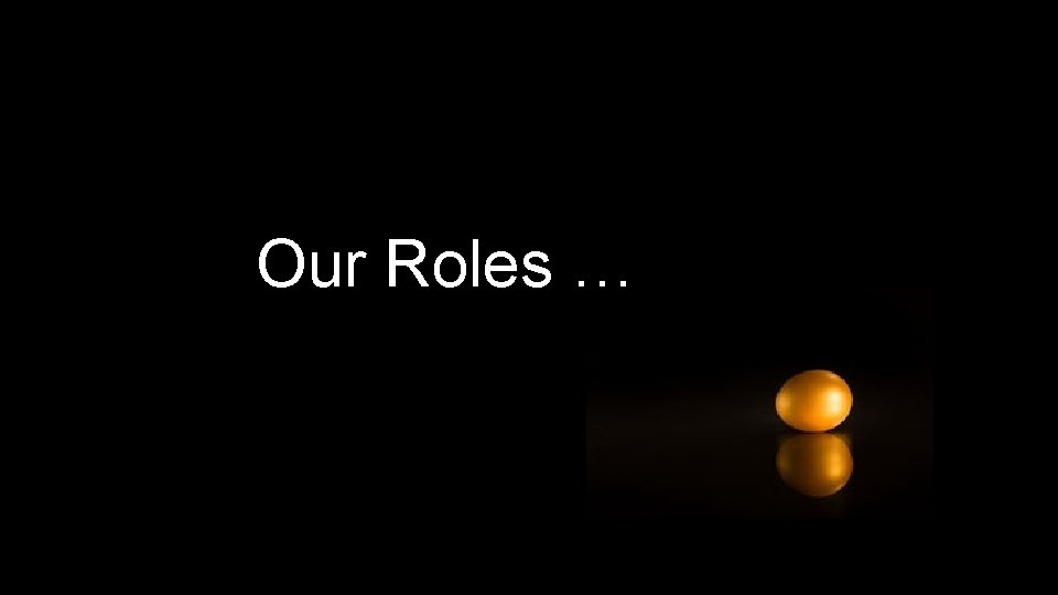 Our Roles … 