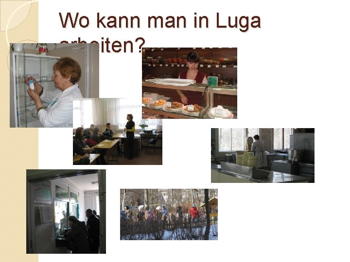 Wo kann man in Luga arbeiten? 