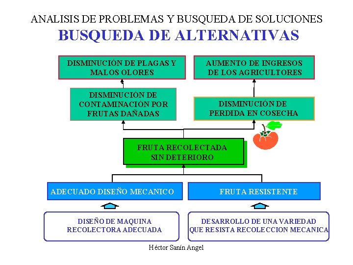 ANALISIS DE PROBLEMAS Y BUSQUEDA DE SOLUCIONES BUSQUEDA DE ALTERNATIVAS DISMINUCIÓN DE PLAGAS Y