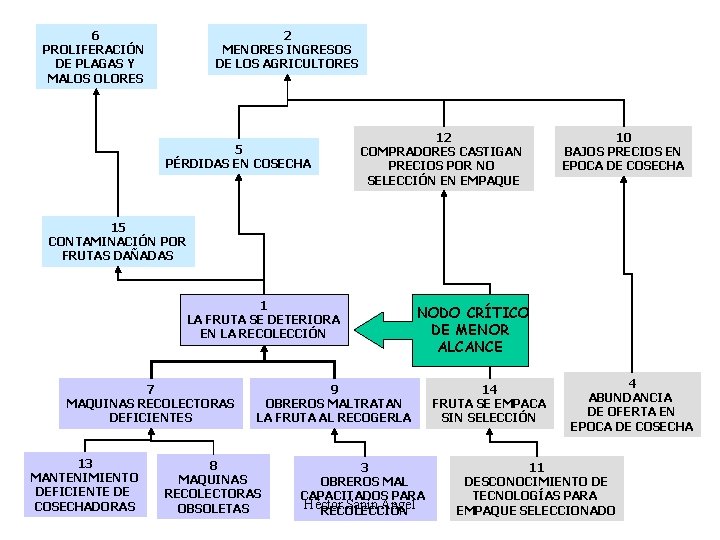 6 PROLIFERACIÓN DE PLAGAS Y MALOS OLORES 2 MENORES INGRESOS DE LOS AGRICULTORES 5