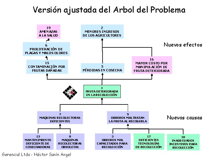 Versión ajustada del Arbol del Problema 19 AMENAZAS A LA SALUD 2 MENORES INGRESOS