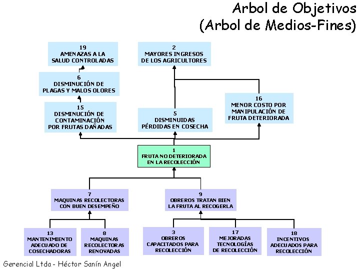 Arbol de Objetivos (Arbol de Medios-Fines) 19 AMENAZAS A LA SALUD CONTROLADAS 2 MAYORES