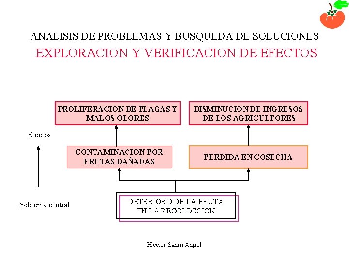 ANALISIS DE PROBLEMAS Y BUSQUEDA DE SOLUCIONES EXPLORACION Y VERIFICACION DE EFECTOS PROLIFERACIÓN DE