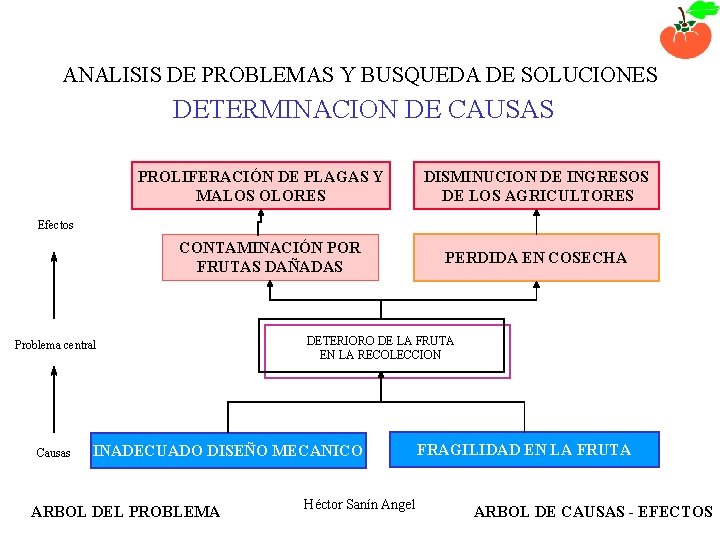 ANALISIS DE PROBLEMAS Y BUSQUEDA DE SOLUCIONES DETERMINACION DE CAUSAS PROLIFERACIÓN DE PLAGAS Y