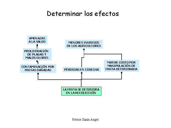 Determinar los efectos AMENAZAS A LA SALUD MENORES INGRESOS DE LOS AGRICULTORES PROLIFERACIÓN DE