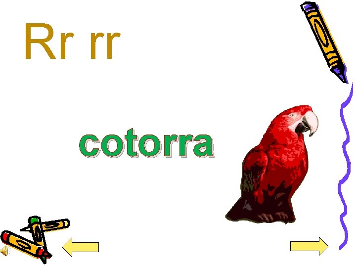 Rr rr cotorra 