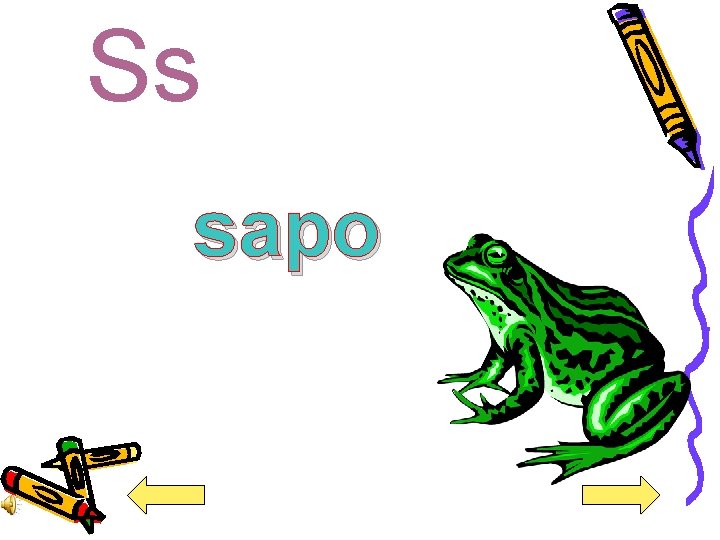 Ss sapo 