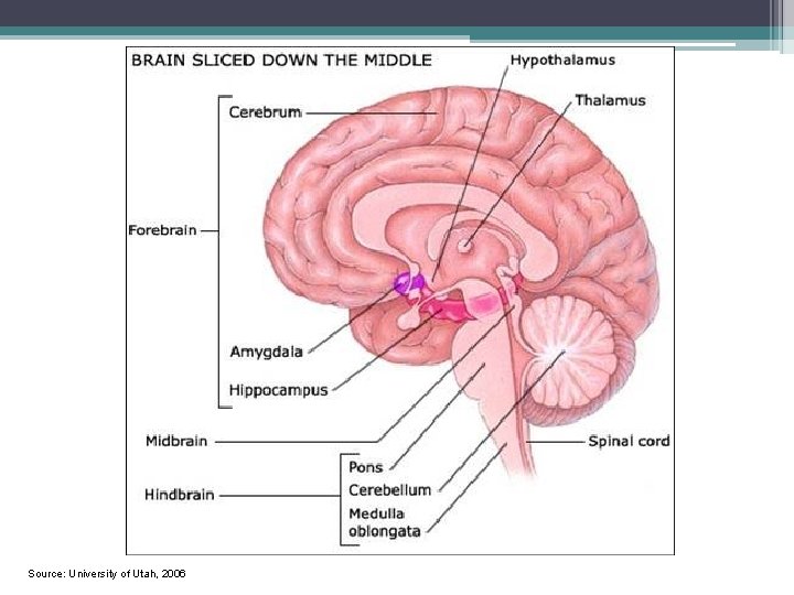 Source: University of Utah, 2006 