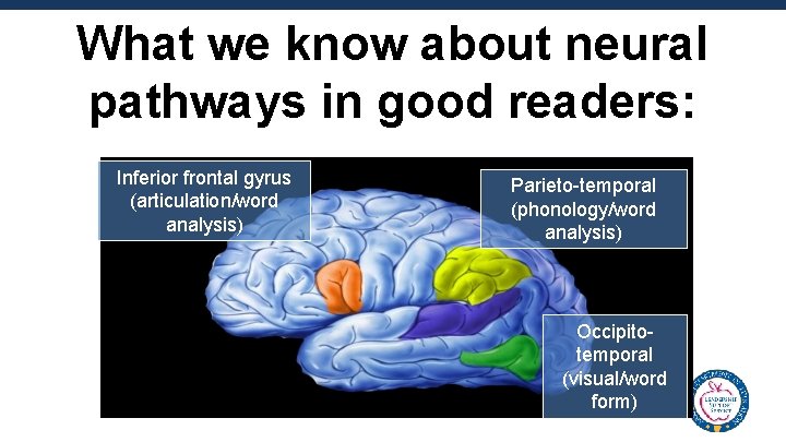 What we know about neural pathways in good readers: Inferior frontal gyrus (articulation/word analysis)