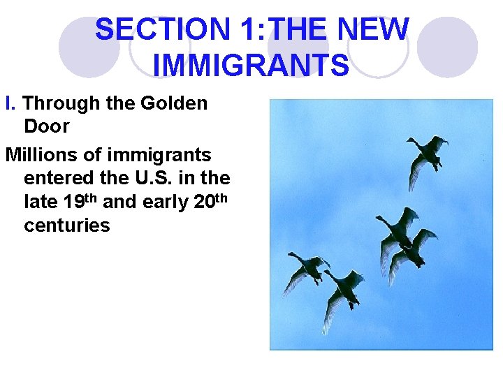 SECTION 1: THE NEW IMMIGRANTS I. Through the Golden Door Millions of immigrants entered