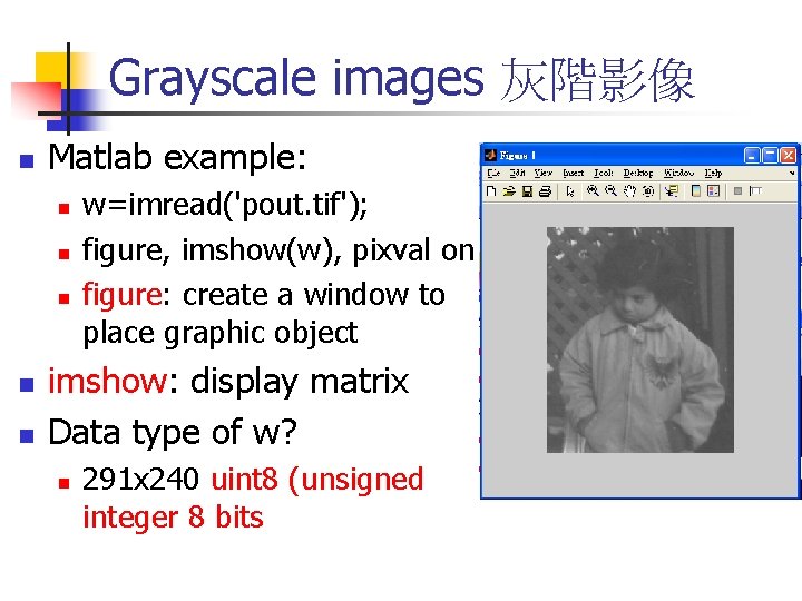 Grayscale images 灰階影像 n Matlab example: n n n w=imread('pout. tif'); figure, imshow(w), pixval