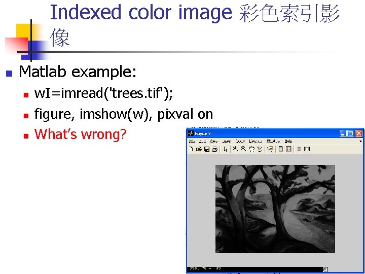 Indexed color image 彩色索引影 像 n Matlab example: n n n w. I=imread('trees. tif');