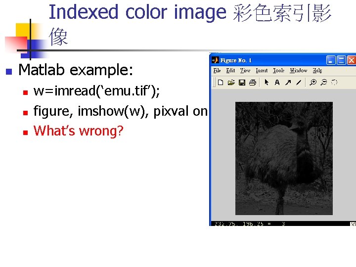 Indexed color image 彩色索引影 像 n Matlab example: n n n w=imread(‘emu. tif’); figure,