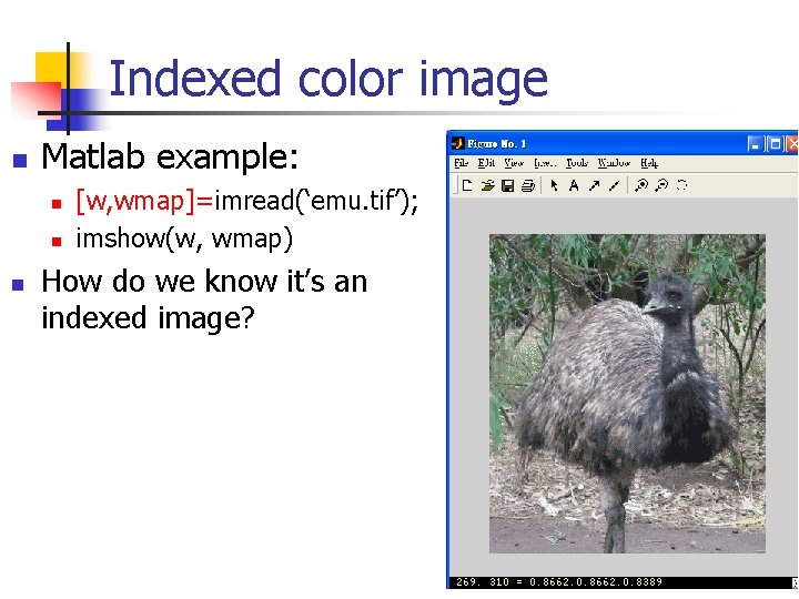Indexed color image n Matlab example: n n n [w, wmap]=imread(‘emu. tif’); imshow(w, wmap)