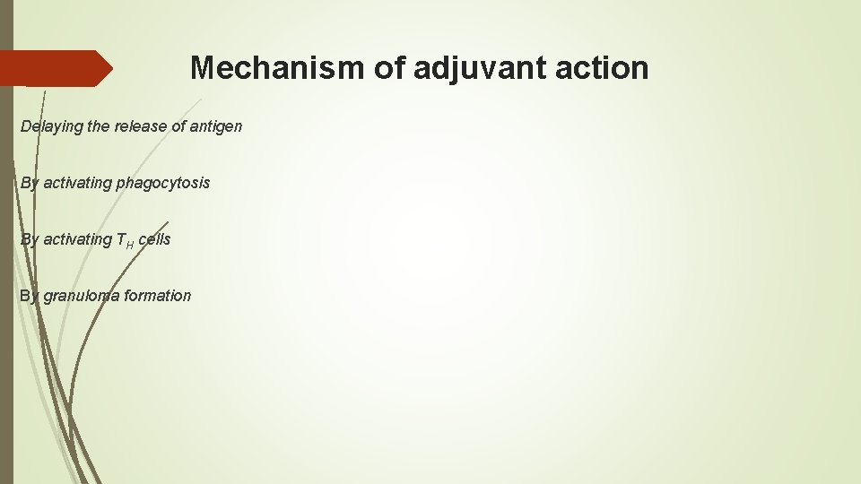 Mechanism of adjuvant action Delaying the release of antigen By activating phagocytosis By activating