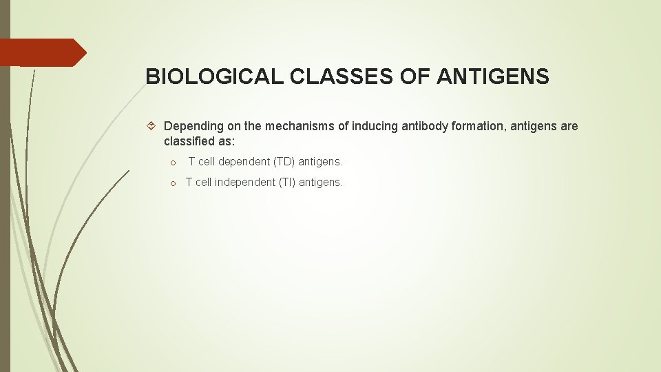 BIOLOGICAL CLASSES OF ANTIGENS Depending on the mechanisms of inducing antibody formation, antigens are