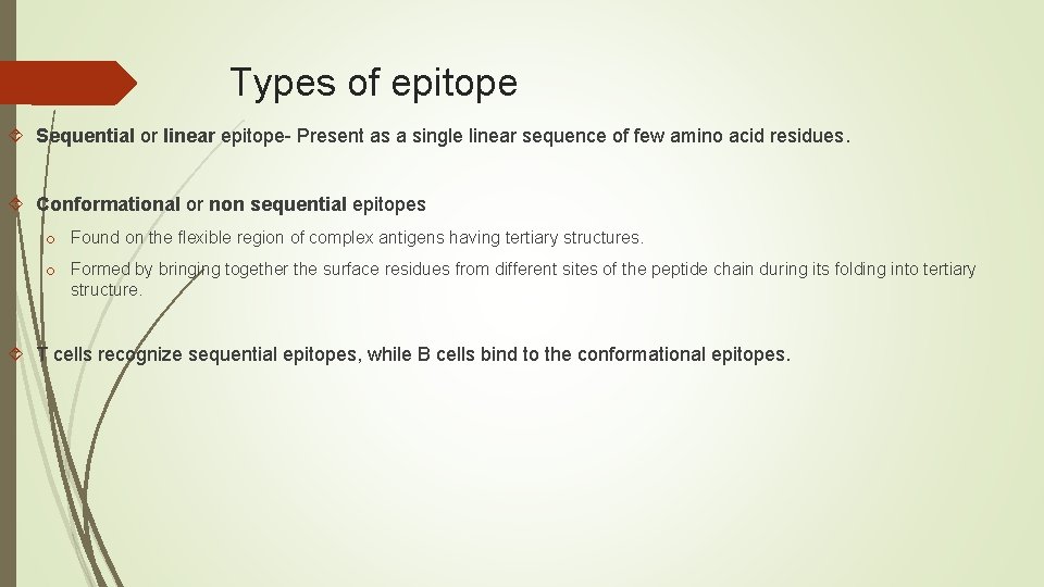 Types of epitope Sequential or linear epitope- Present as a single linear sequence of