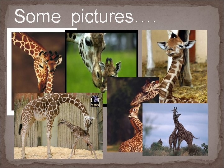Some pictures…. 