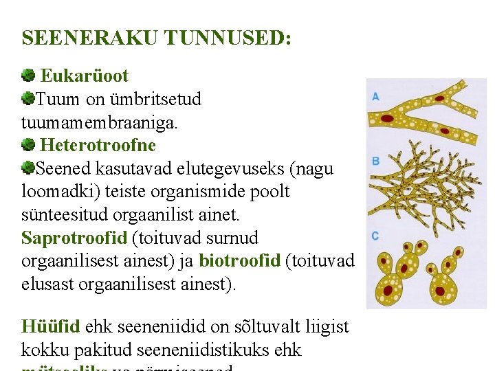 SEENERAKU TUNNUSED: Eukarüoot Tuum on ümbritsetud tuumamembraaniga. Heterotroofne Seened kasutavad elutegevuseks (nagu loomadki) teiste