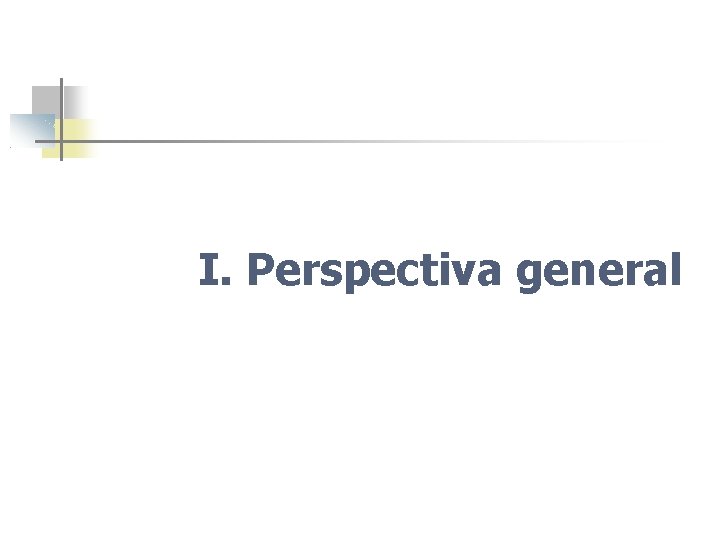 I. Perspectiva general 