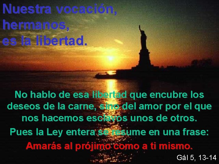 Nuestra vocación, hermanos, es la libertad. No hablo de esa libertad que encubre los