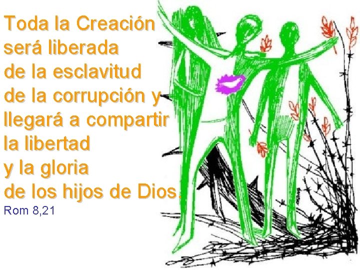 Toda la Creación será liberada de la esclavitud de la corrupción y llegará a