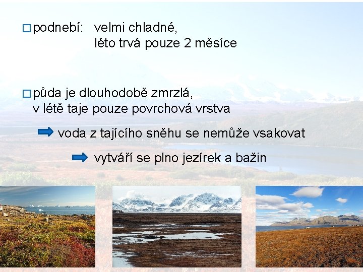 � podnebí: velmi chladné, léto trvá pouze 2 měsíce � půda je dlouhodobě zmrzlá,