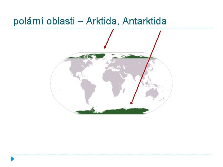 polární oblasti – Arktida, Antarktida 