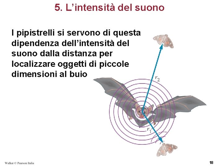 5. L’intensità del suono I pipistrelli si servono di questa dipendenza dell’intensità del suono