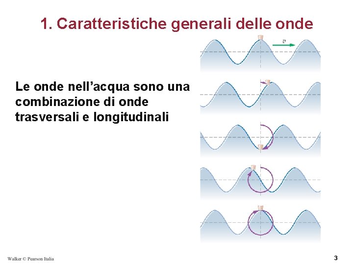 1. Caratteristiche generali delle onde Le onde nell’acqua sono una combinazione di onde trasversali