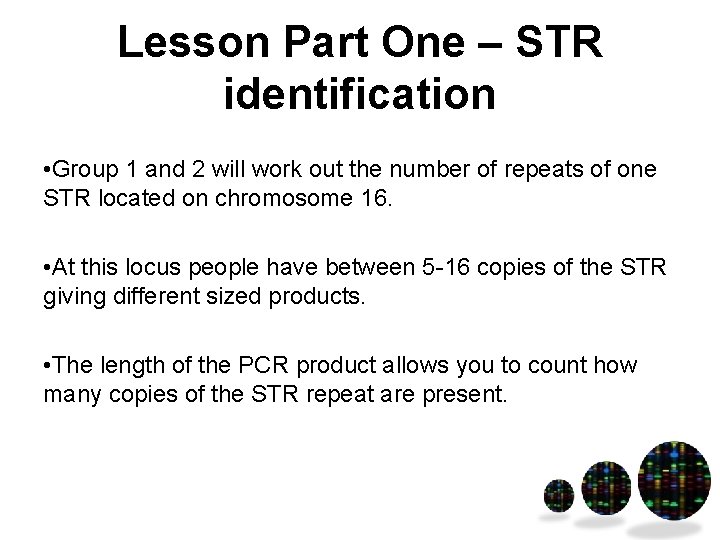 Lesson Part One – STR identification • Group 1 and 2 will work out