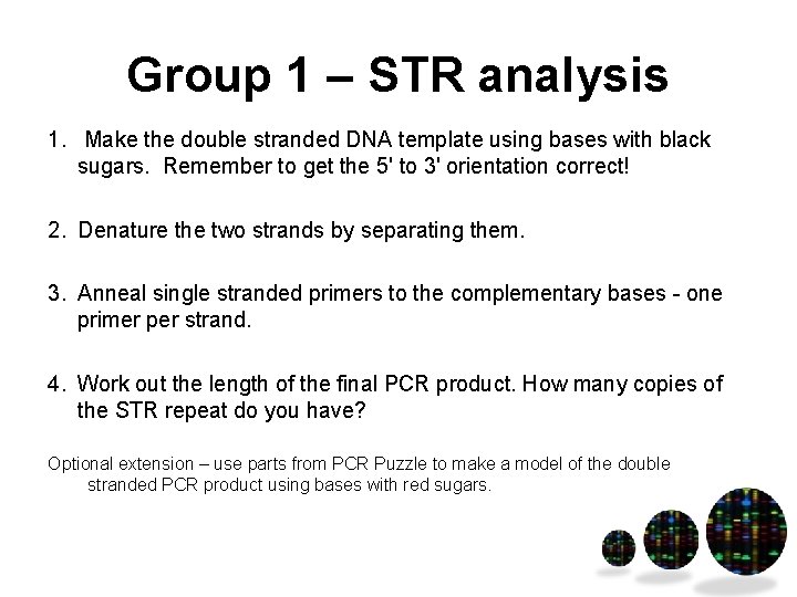 Group 1 – STR analysis 1. Make the double stranded DNA template using bases