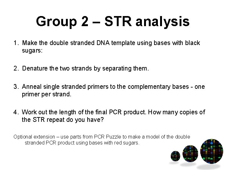 Group 2 – STR analysis 1. Make the double stranded DNA template using bases