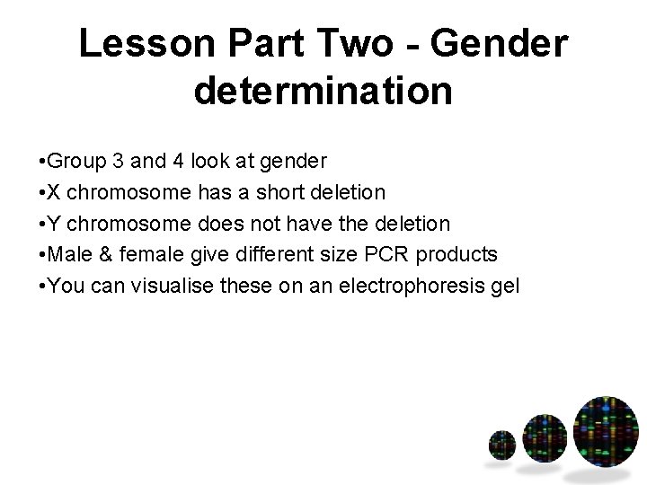 Lesson Part Two - Gender determination • Group 3 and 4 look at gender