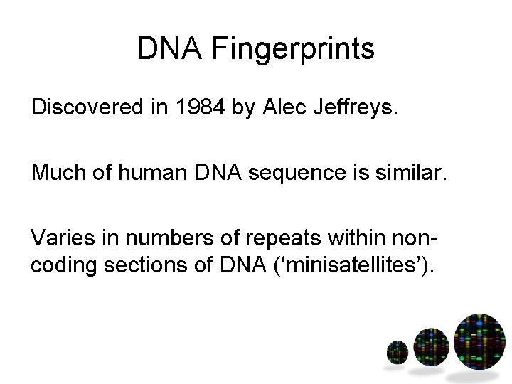 DNA Fingerprints Discovered in 1984 by Alec Jeffreys. Much of human DNA sequence is