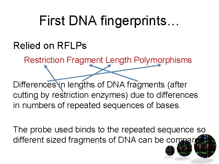 First DNA fingerprints… Relied on RFLPs Restriction Fragment Length Polymorphisms Differences in lengths of