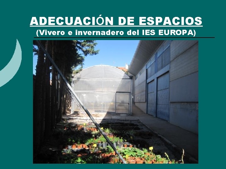 ADECUACIÓN DE ESPACIOS (Vivero e invernadero del IES EUROPA) ADECUACIÓN DE ESPACIOS (Vivero e invernadero del IES EUROPA)