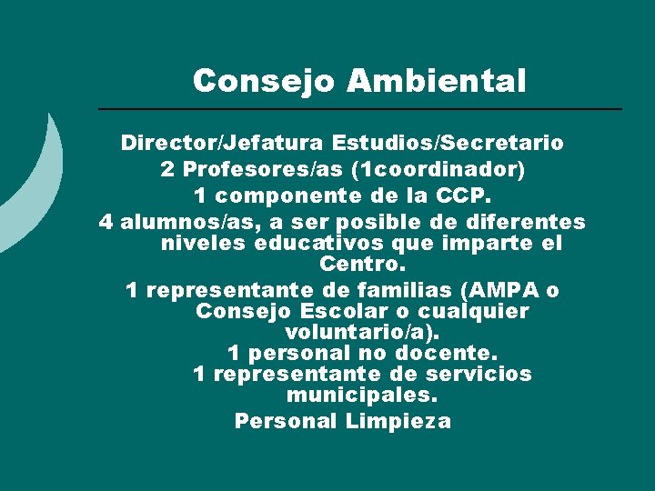 Consejo Ambiental Director/Jefatura Estudios/Secretario 2 Profesores/as (1 coordinador) 1 componente de la CCP. 4