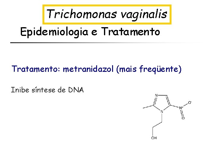 Trichomonas vaginalis Epidemiologia e Tratamento: metranidazol (mais freqüente) Inibe síntese de DNA 
