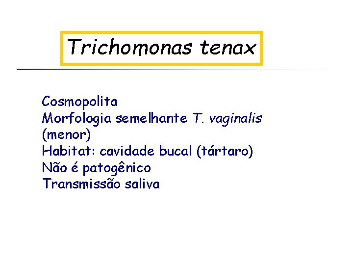 Trichomonas tenax Cosmopolita Morfologia semelhante T. vaginalis (menor) Habitat: cavidade bucal (tártaro) Não é