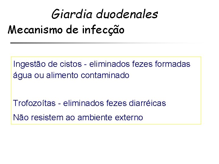 Giardia duodenales Mecanismo de infecção Ingestão de cistos - eliminados fezes formadas água ou