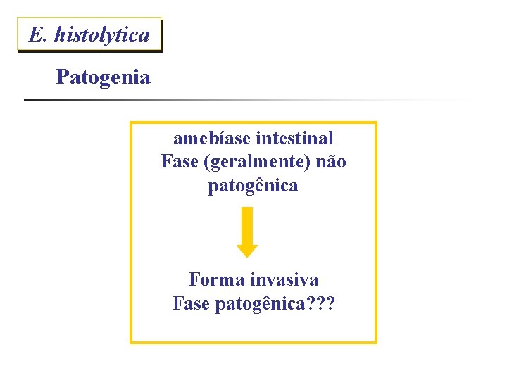 E. histolytica Patogenia amebíase intestinal Fase (geralmente) não patogênica Forma invasiva Fase patogênica? ?